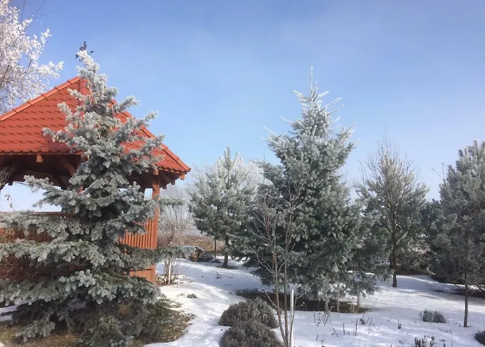 カントリーハウス Ignacowka